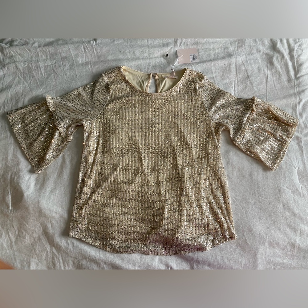 LC Lauren Conrad, silver sequined blouse, size small